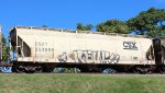 CSXT 254598
